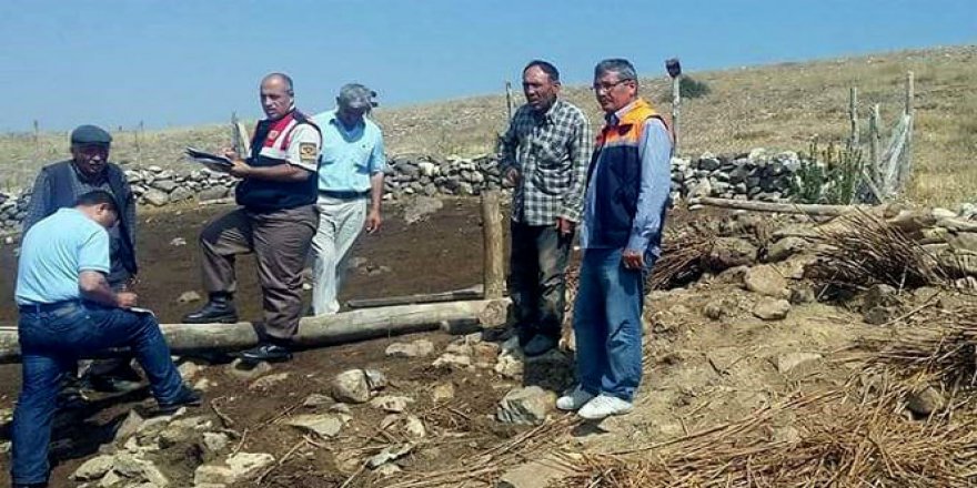 Tavanı çöken ahırda 15 koyun..