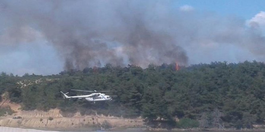 Edirne, Keşan'da orman yangını!
