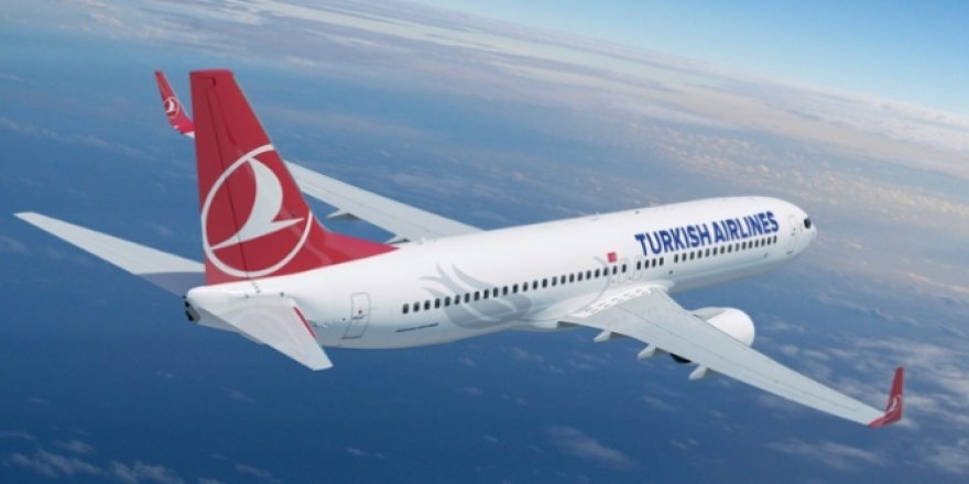 Kuşa çarpan THY uçağı geri döndü!