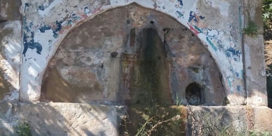 Sakarya'da 150 yıllık tarihi çeşme yosun bağladı