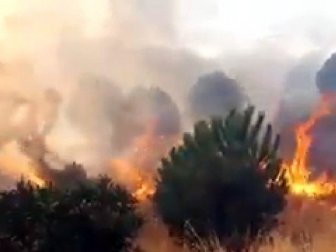İzmir, Çiğli'de Makilik Alanda Yangın