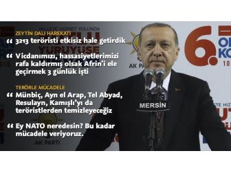 'Zeytin Dalı Harekatı'nda 3213 Terörist Etkisiz Hale Getirildi'
