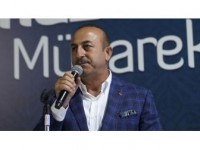 Dışişleri Bakanı Çavuşoğlu: Türkiye'nin Geleceği İçin Gücümüzü Birleştirdik