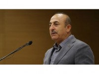 Dışişleri Bakanı Çavuşoğlu: Fbı 20 Civarında Eyalette Fetö Soruşturması Başlattı