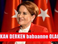 Meral Akşener ve İYİ Parti'nin çöküşü: Deprem başladı