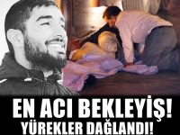 Yürek yakan görüntü... Başından ayrılmadı !