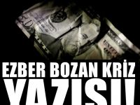 Türkiye'deki Krize gurbetçiler seviniyor mu?