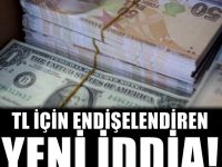TL ile ilgili endişelendiren analiz! Alınan son karar