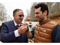 Suuçtu Filmlere Mekan Oluyor