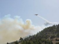 Manisa'da 80 Dönüm Kızılçam Ormanı Kül Oldu