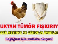 Tavuk yemenin de tadı kaçtı.. Şunların yaptığına bir bakın!