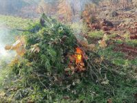 Diyarbakır'da Dev uyuşturucu operasyonunda son durum