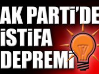 AK PARTİ'den peş peşe istifalar!