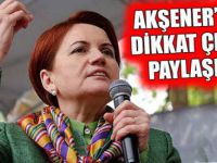 Meral Akşener'den Kuzey Irak Konusunda manidar paylaşım!