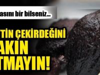 Zeytinin çekirdeğini atmaya kıyamayacaksınız! Bakınız hangi derdi şıp diye kesiyor..