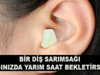 Sarımsak faydaları ile sizi şaşırtacak! İşte bilinmeyenleriyle sarımsak