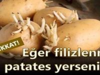 Filizlenmiş patatesteki büyük tehlike! Bakınız ne oluyor! Lütfen paylaşalım
