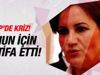 CHP'li Vekilden Meral Akşener istifası!