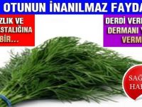 Dereoutu faydalarıyla şaşırtacak! Günlük bir tutamı korumaya yetiyor