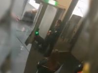 Düsseldorf Havalimanında Türk Yolculara Köpekli Arama